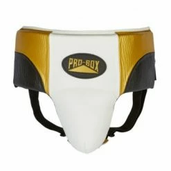 Champs Bxing Ltd PROBOX-PRO-SPAR Black/Gold/White ABDO GUARD HEAD & GROIN GUARDS