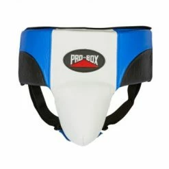 Champs Bxing Ltd PROBOX-PRO-SPAR Blue/White ABDO GUARD HEAD & GROIN GUARDS