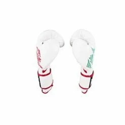 Champs Bxing Cleto Reyes Sparring Gloves – Mexican Colours