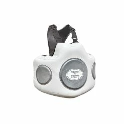 Champs Bxing Ltd POUND 4 POUND-BODY SHIELD