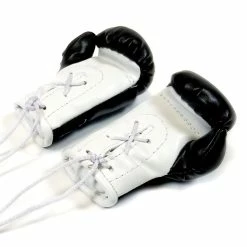 RIVAL-MINI BOXING GLOVES ACCESSORIES